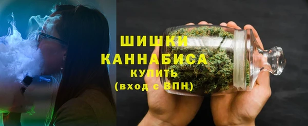 сатива Вяземский