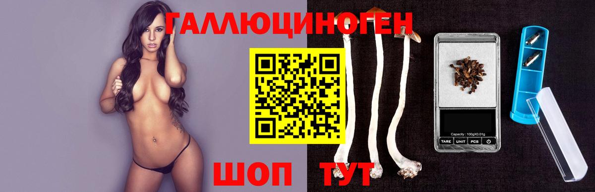 Псилоцибиновые грибы мицелий  Вход с VPN  Губкин 