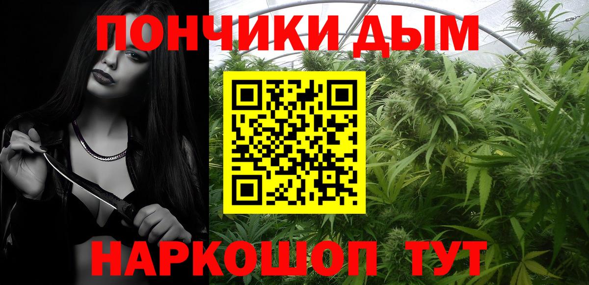 Бошки Шишки конопля  Бошки Шишки план  Губкин  Каннабис Ganja 
